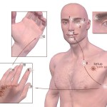 EFT