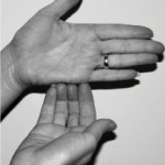 fig2