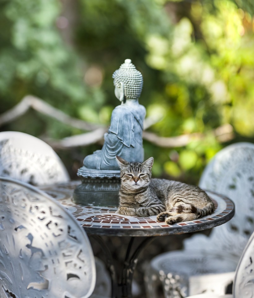 Meditation and EFT